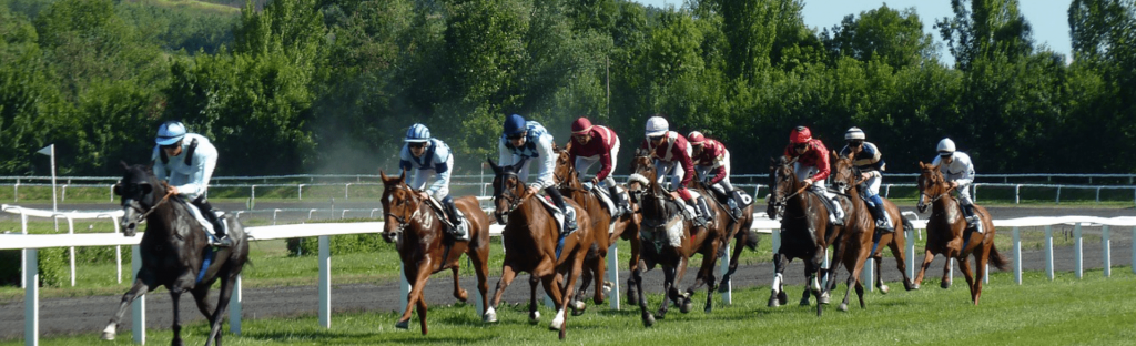 Singapore Horse Racing at the Betting Exchange